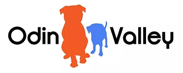 Odin Valley Logo