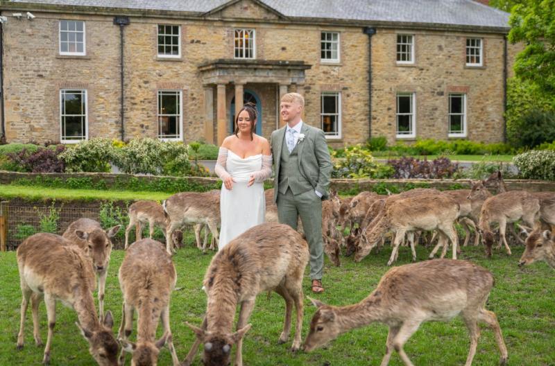 Bride and Groom with Deer, Whitworth Hall